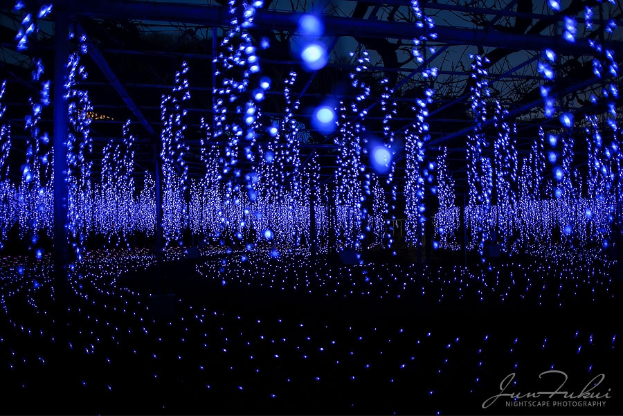 あしかがフラワーパーク イルミネーション