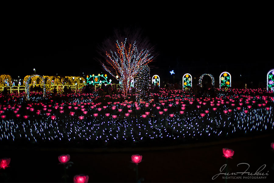 あしかがフラワーパーク イルミネーション