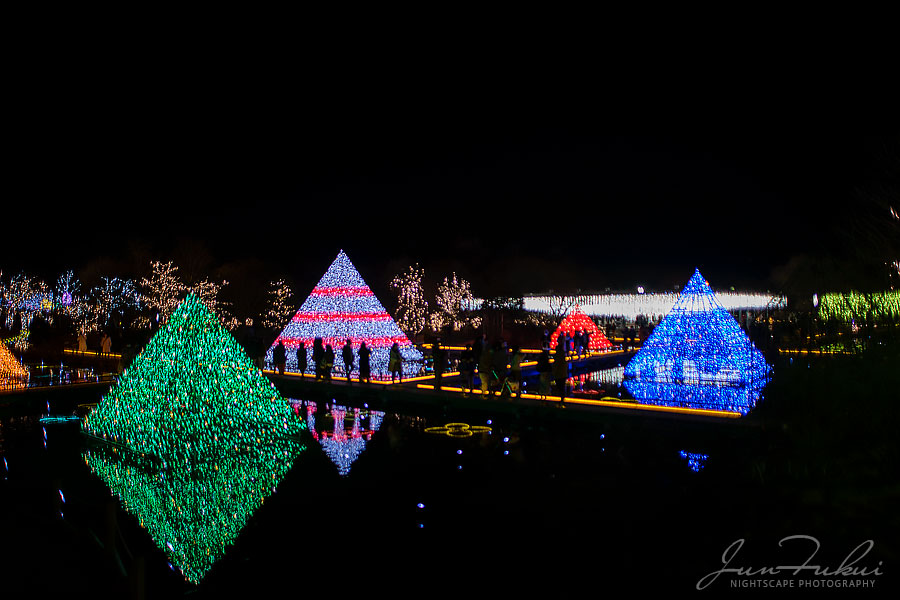 あしかがフラワーパーク イルミネーション