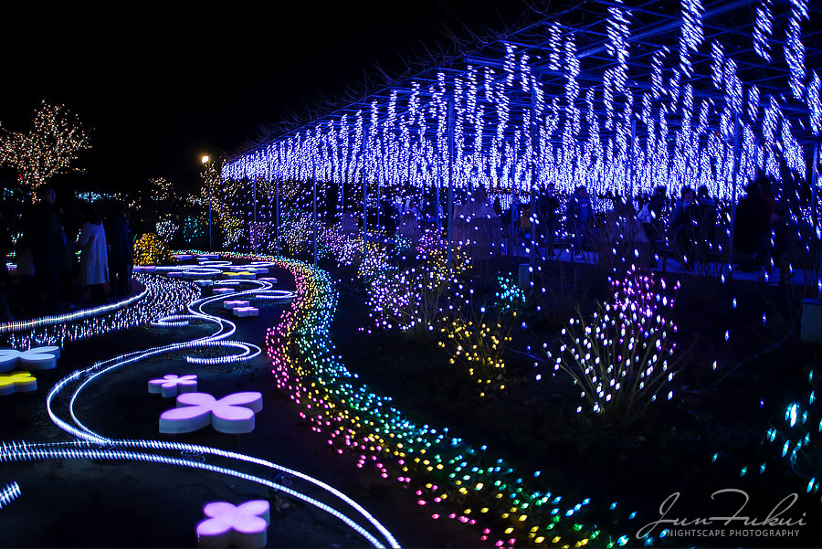 あしかがフラワーパーク イルミネーション