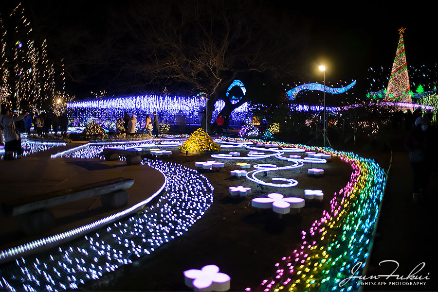あしかがフラワーパーク イルミネーション