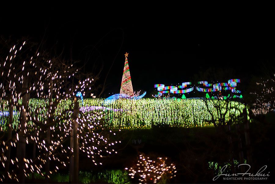 あしかがフラワーパーク イルミネーション