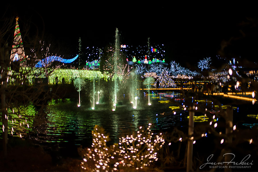 あしかがフラワーパーク イルミネーション