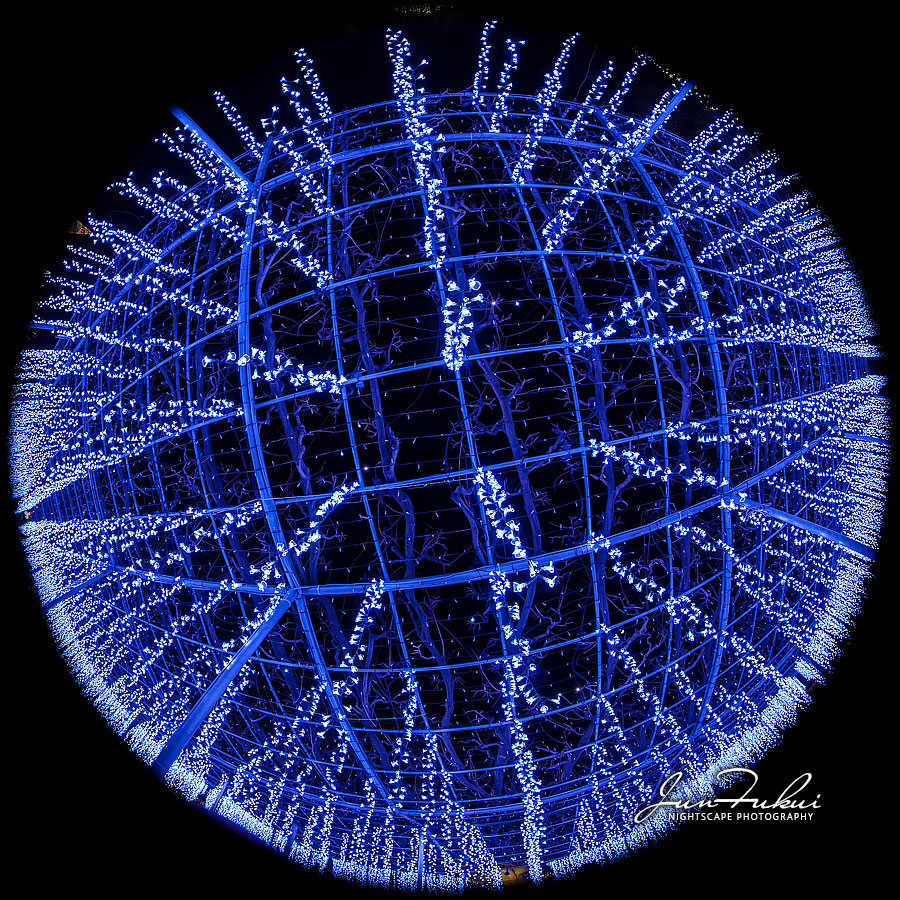 あしかがフラワーパーク イルミネーション