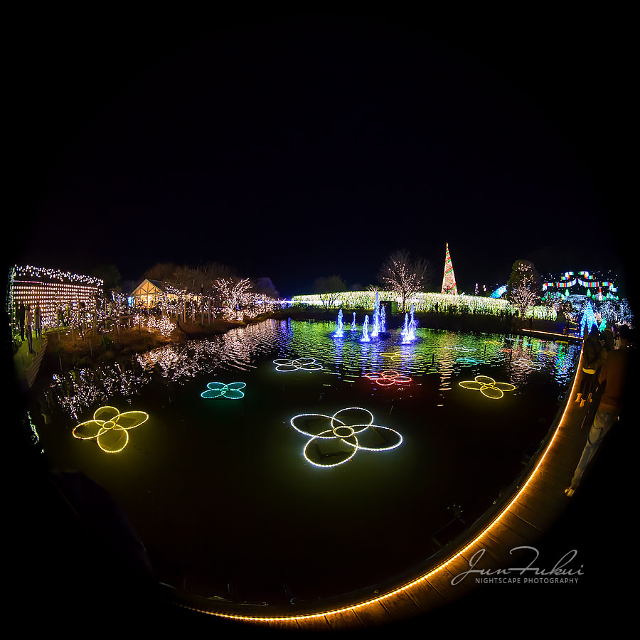 あしかがフラワーパーク イルミネーション