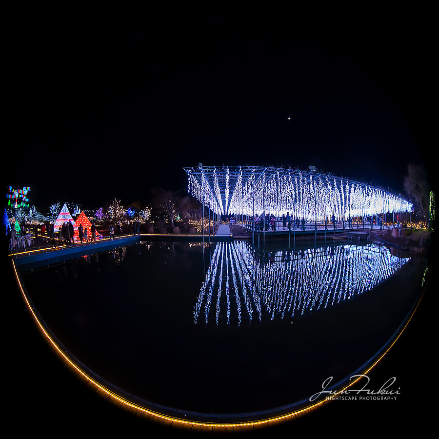 あしかがフラワーパーク イルミネーション