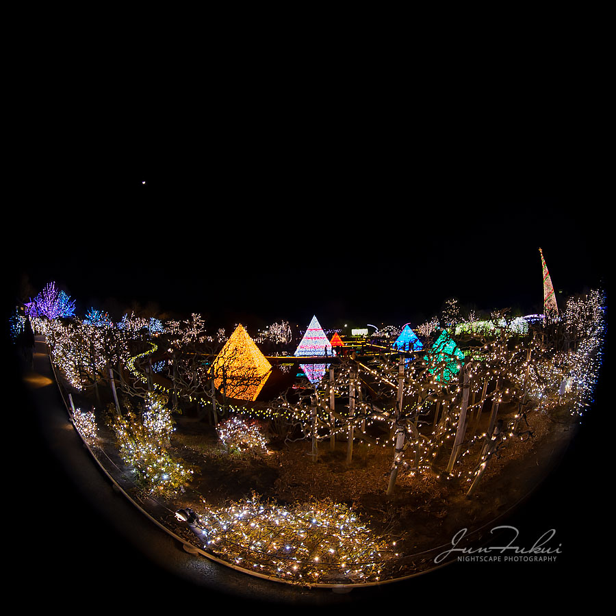 あしかがフラワーパーク イルミネーション