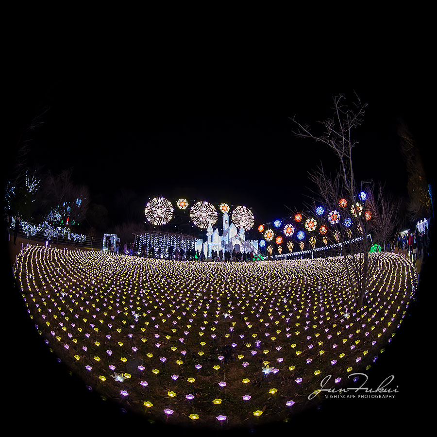 あしかがフラワーパーク イルミネーション