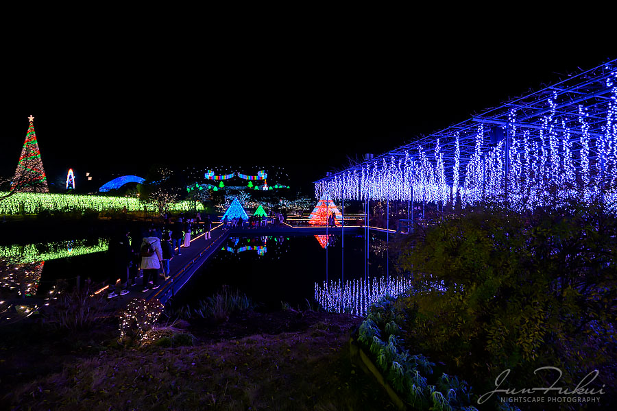 あしかがフラワーパーク イルミネーション