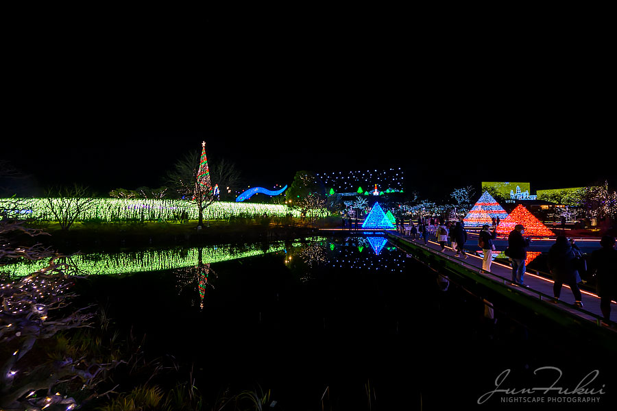 あしかがフラワーパーク イルミネーション