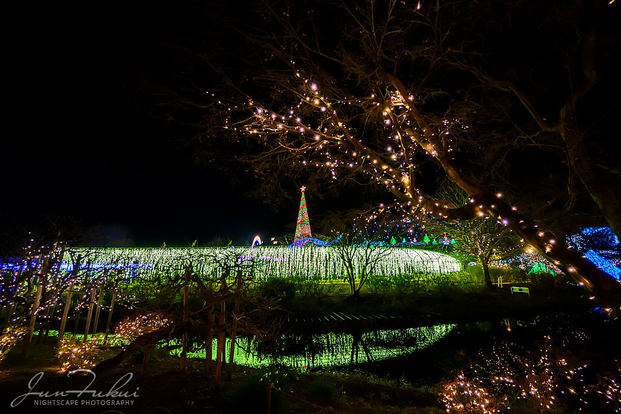 あしかがフラワーパーク イルミネーション