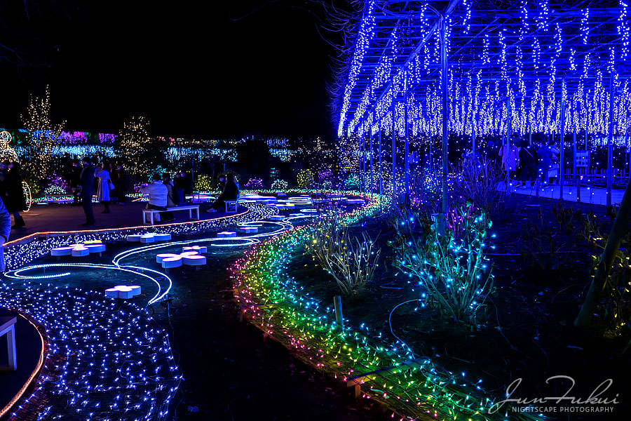 あしかがフラワーパーク イルミネーション