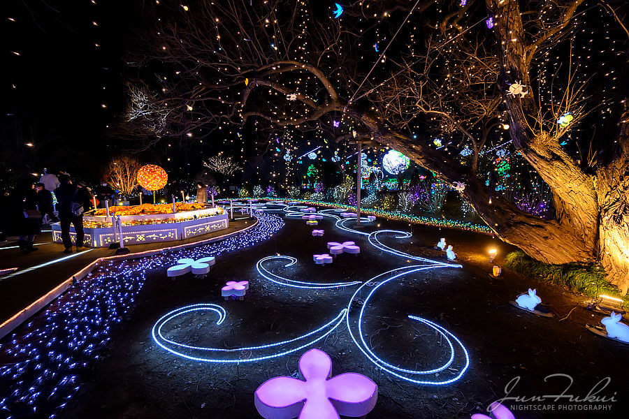 あしかがフラワーパーク イルミネーション