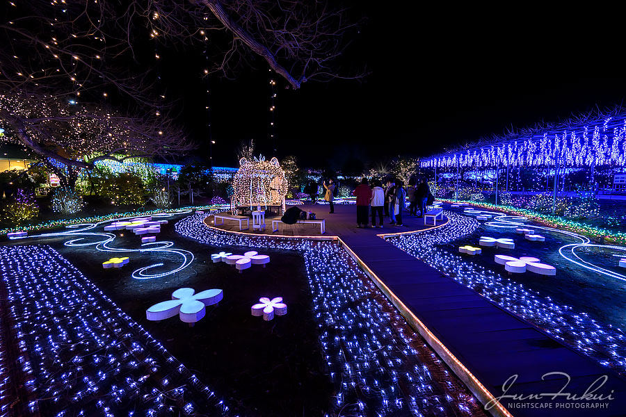 あしかがフラワーパーク イルミネーション