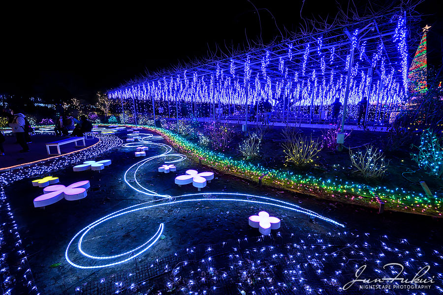 あしかがフラワーパーク イルミネーション