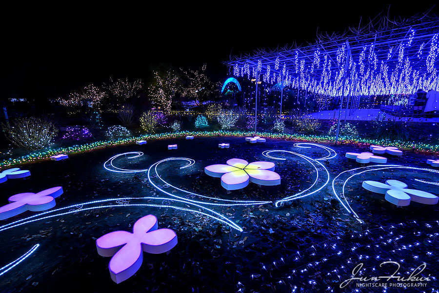 あしかがフラワーパーク イルミネーション