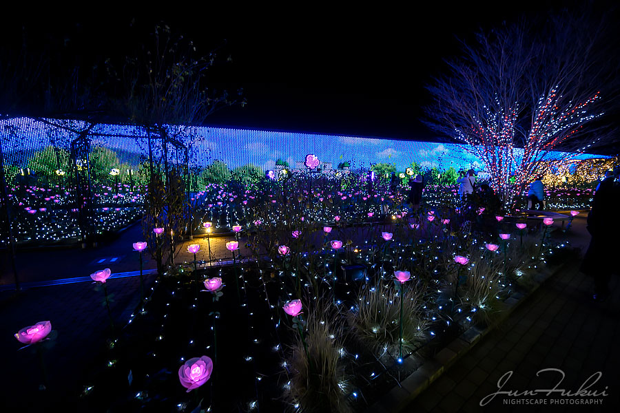 あしかがフラワーパーク イルミネーション