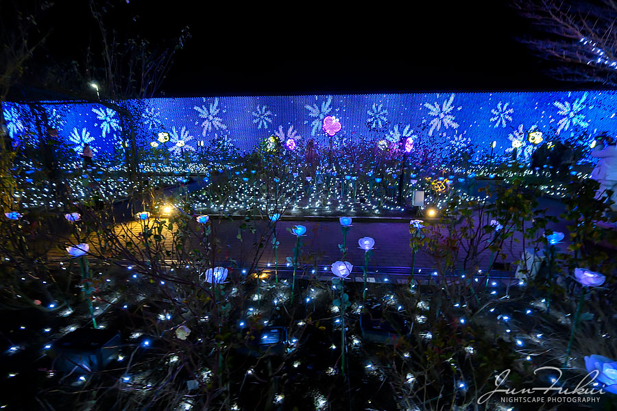 あしかがフラワーパーク イルミネーション