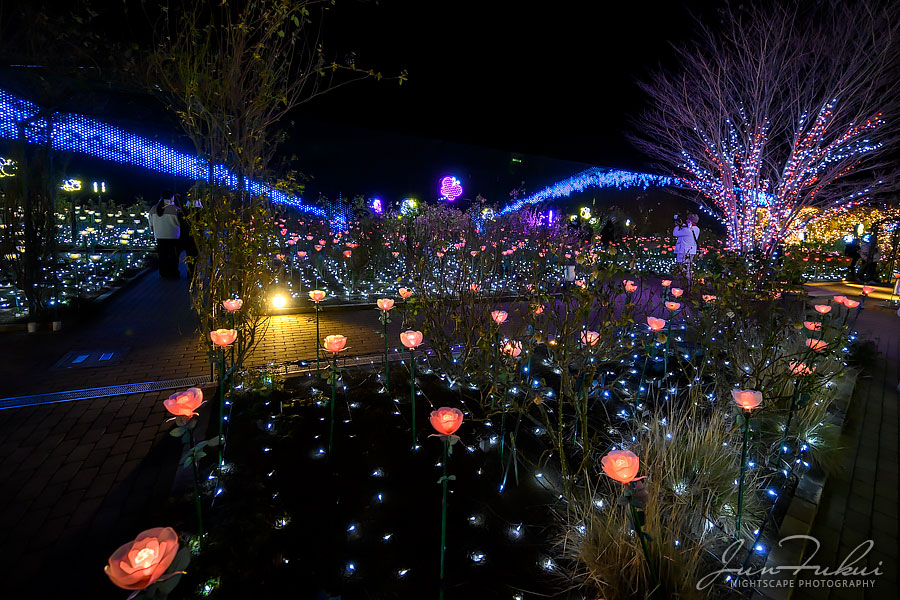 あしかがフラワーパーク イルミネーション