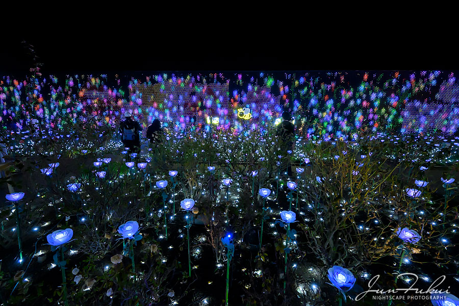 あしかがフラワーパーク イルミネーション