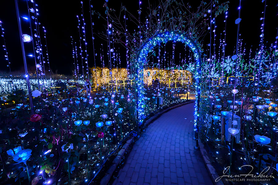 あしかがフラワーパーク イルミネーション