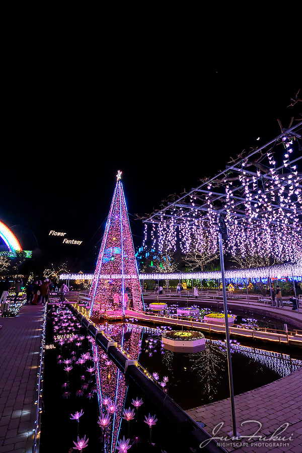 あしかがフラワーパーク イルミネーション