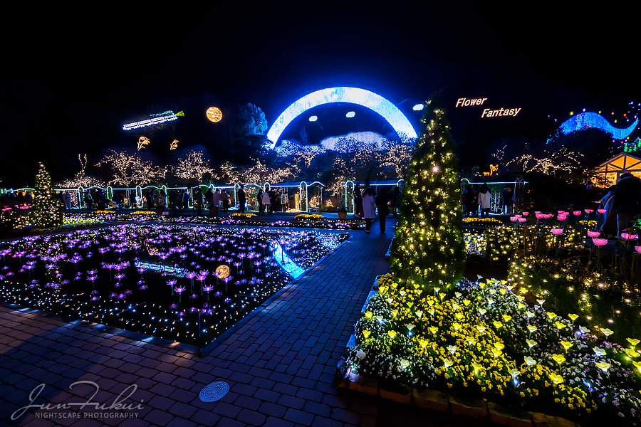 あしかがフラワーパーク イルミネーション