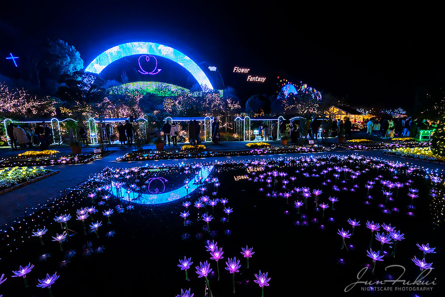 あしかがフラワーパーク イルミネーション