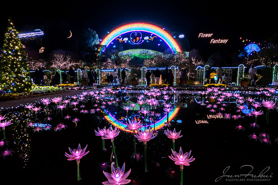 あしかがフラワーパーク イルミネーション