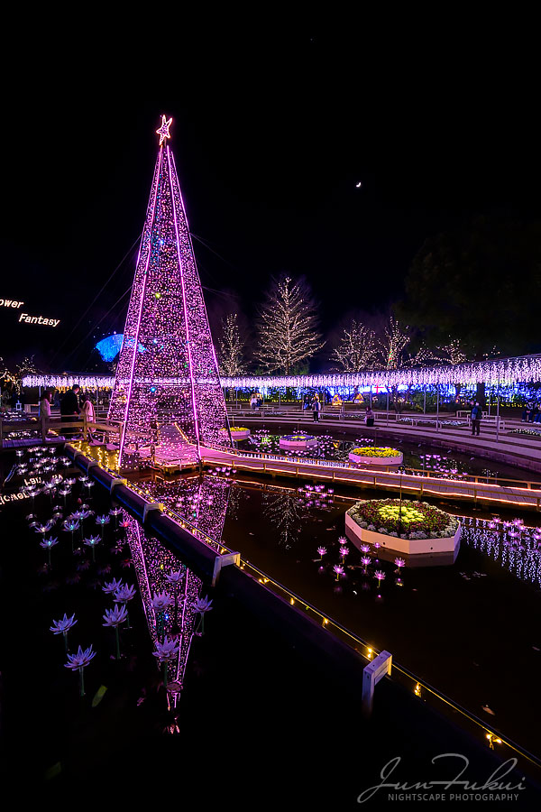 あしかがフラワーパーク イルミネーション