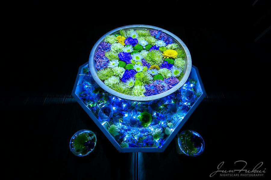 あしかがフラワーパーク イルミネーション