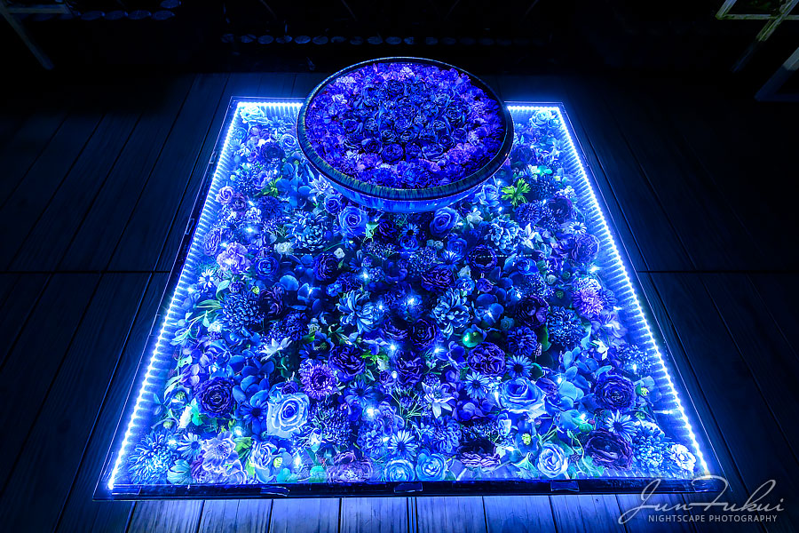 あしかがフラワーパーク イルミネーション