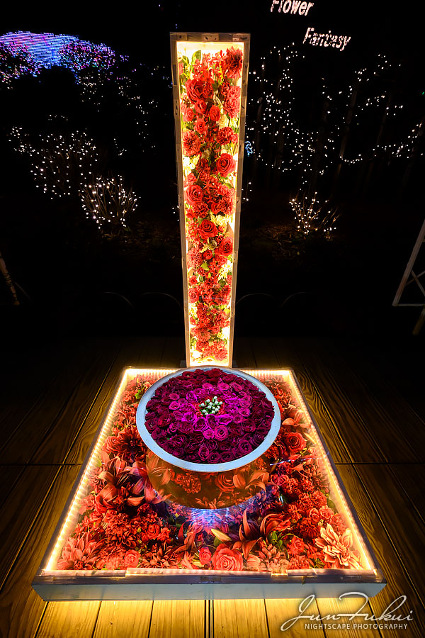 あしかがフラワーパーク イルミネーション