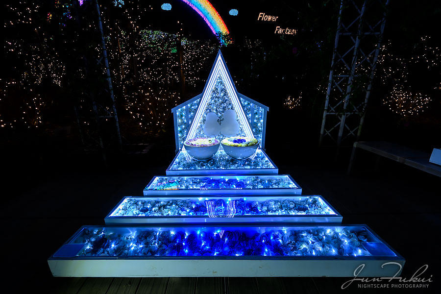 あしかがフラワーパーク イルミネーション