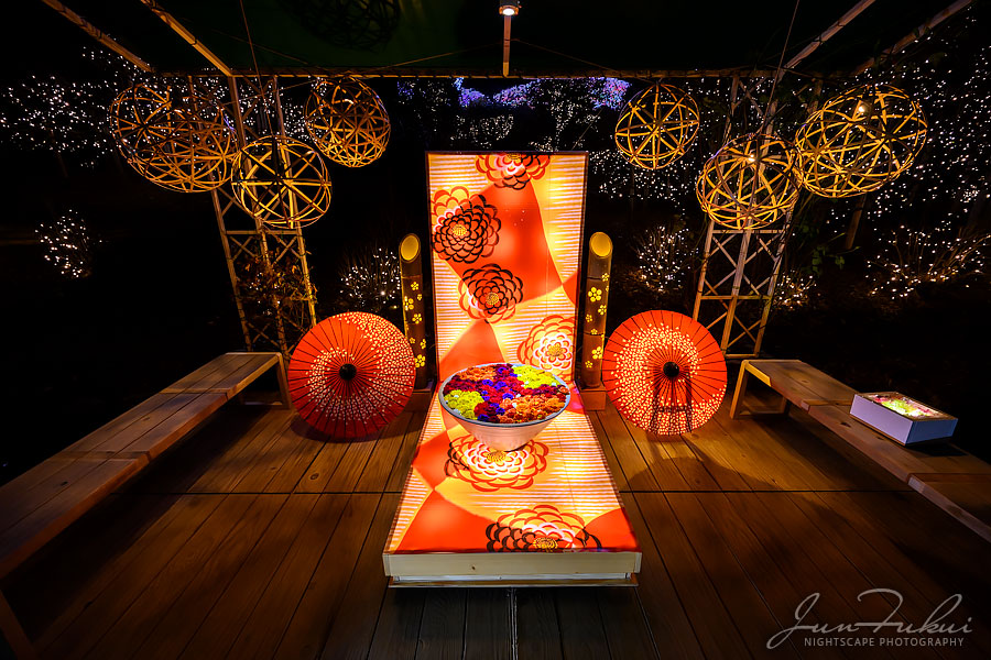 あしかがフラワーパーク イルミネーション