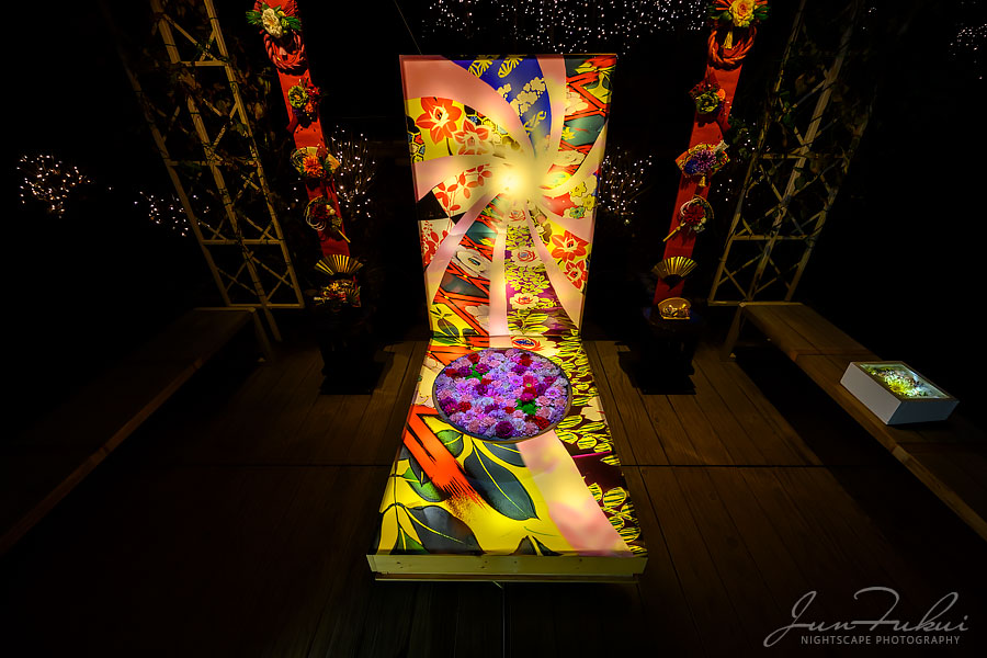 あしかがフラワーパーク イルミネーション