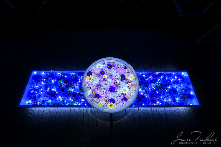 あしかがフラワーパーク イルミネーション