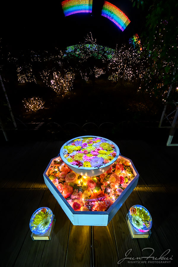 あしかがフラワーパーク イルミネーション