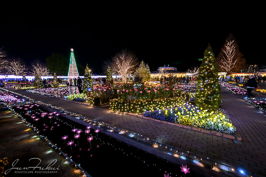 あしかがフラワーパーク イルミネーション