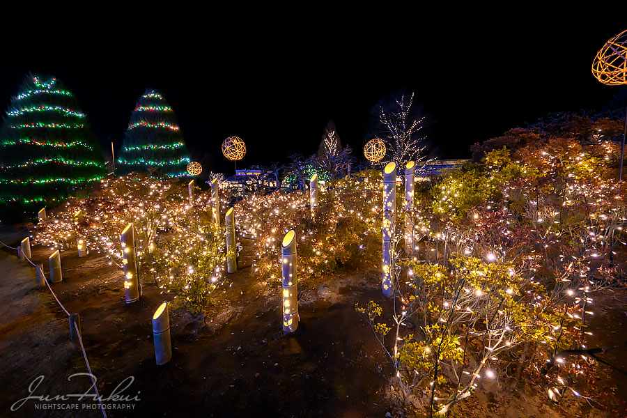 あしかがフラワーパーク イルミネーション