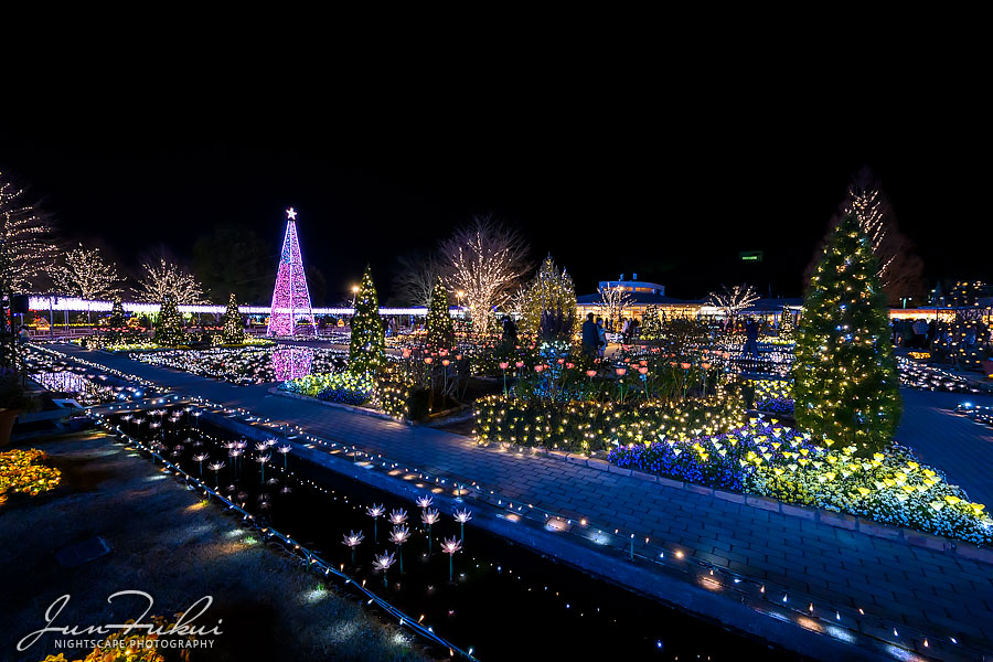 あしかがフラワーパーク イルミネーション