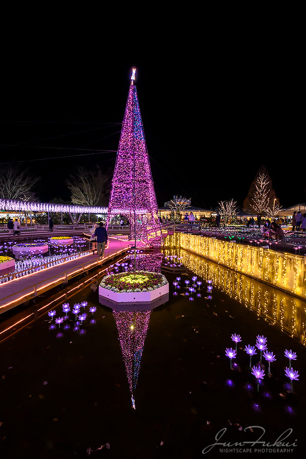 あしかがフラワーパーク イルミネーション