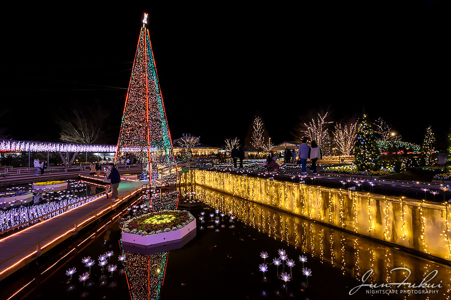 あしかがフラワーパーク イルミネーション