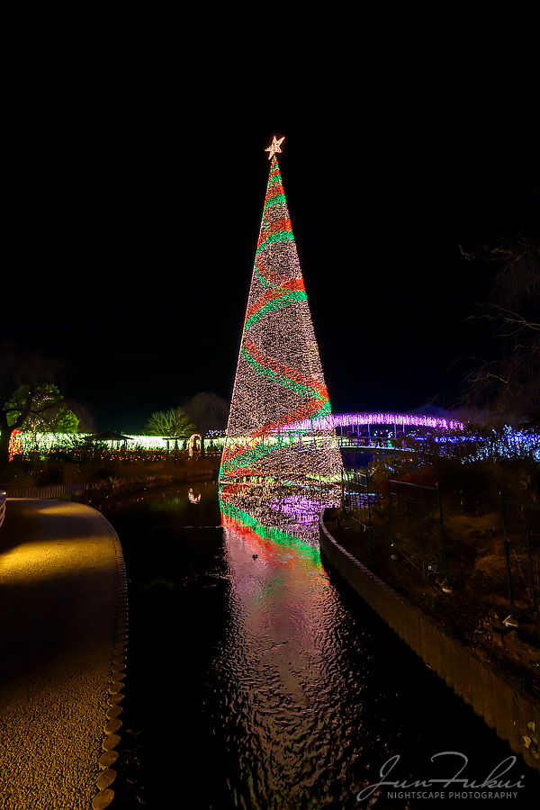 あしかがフラワーパーク イルミネーション