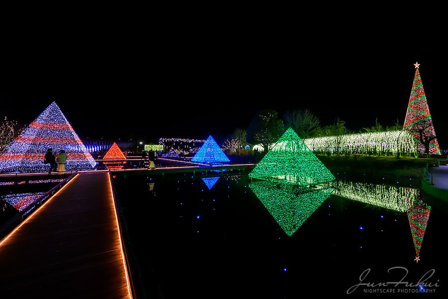 あしかがフラワーパーク イルミネーション