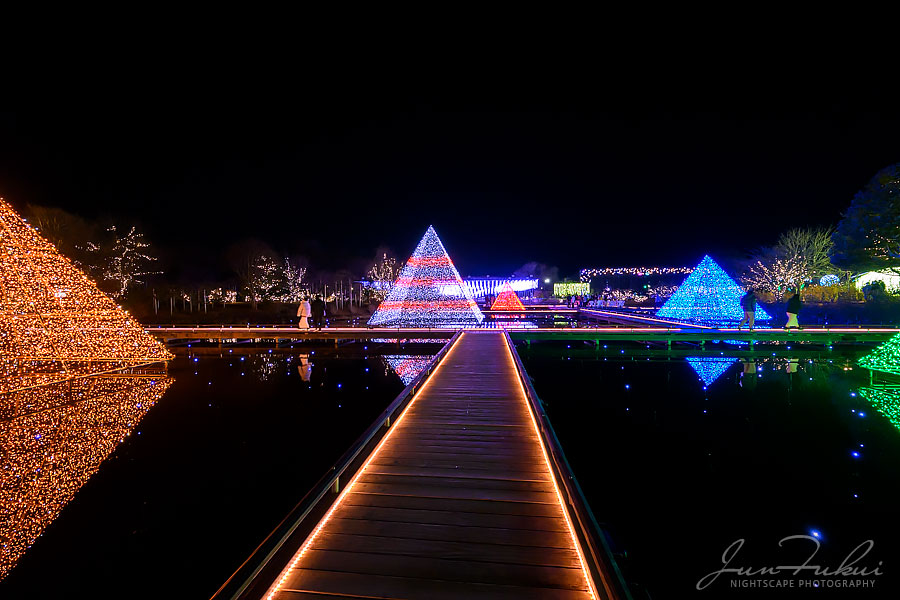 あしかがフラワーパーク イルミネーション