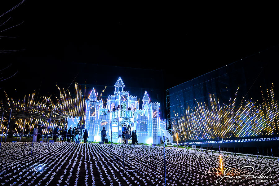 あしかがフラワーパーク イルミネーション