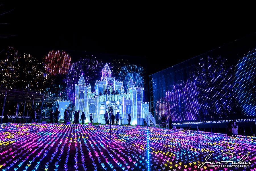 あしかがフラワーパーク イルミネーション