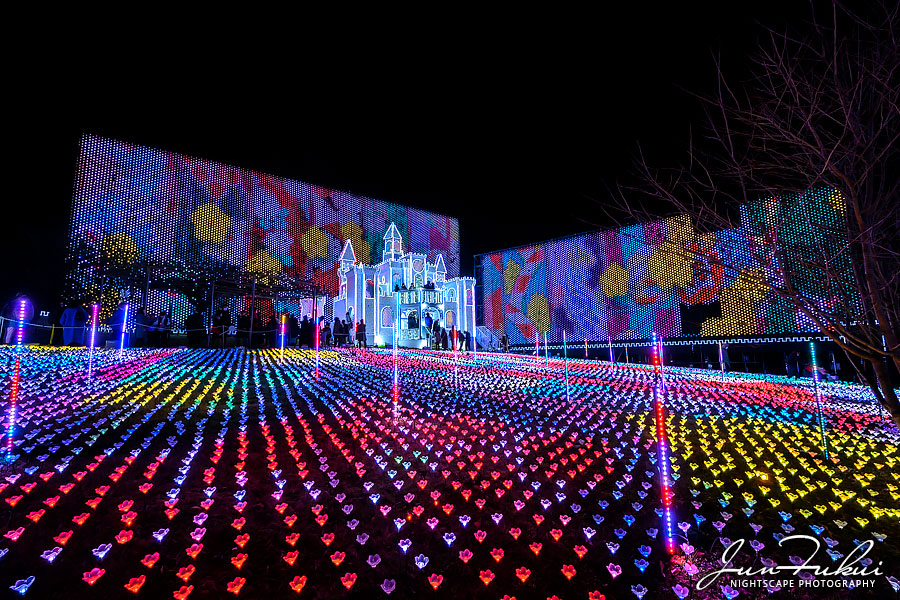 あしかがフラワーパーク イルミネーション