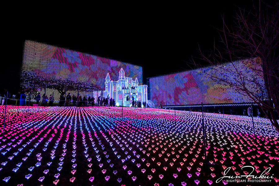 あしかがフラワーパーク イルミネーション